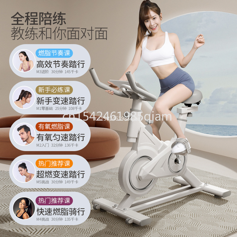 屋内用自立型フィットネスバイク、耐久性のあるスピニングバイク - Exercise Bike Magnetic Resistance のレビューと価格